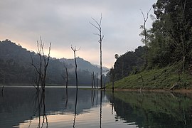 Early dawn on Cheow Lan Lake, Thailand.jpg