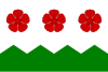 Vlajka obce Nová Ves