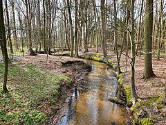 Hahnenbach bei Ruthenmühle (Wiedau).jpg