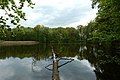 Naturschutzgebiet Schafteich (Limbacher Teichgebiet/Limbacher Teiche)