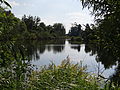 Wasserkuhle mit Schilfgürtel und Bruchwaldufersaum im NSG Riethbenden bei Verberg