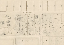 Seneca Village térképe (Egbert Viele, 1856)