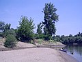 Sandbanks near Csongrád