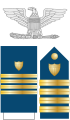 美國海岸防衛隊上校肩章、袖章及配章