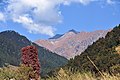 Fall colours above Baragram, Oct '20