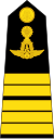 Colonel