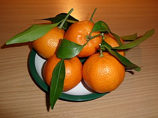 Mandarin, Citrus reticulata