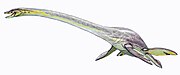 Elasmosaurus