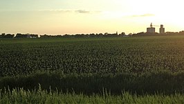 Corn field near Somers