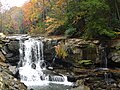 Laurel Creek Waterfall