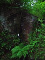 Remains of the mill lade, Craig Mill splash wall and a later roofed water pump installation.