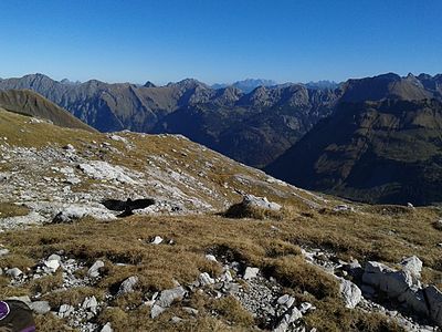 a view to valley Hintersteiner Tal