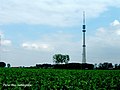 Sint-Pieters-Leeuw Tower