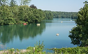 2018 Jezioro Trześniowskie (Ciecz) 2.jpg