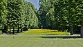 * Nomination An alley, park of the château de Champs-sur-Marne, Seine-et-Marne, France.--Jebulon 14:37, 10 June 2012 (UTC) * Decline Left and bottom seem unsharp, but noticable haloes in the sky. --Mattbuck 21:57, 11 June 2012 (UTC)