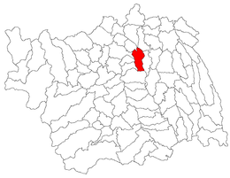 Bacău – Mappa