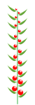 Förenklad bild av ax med mittaxel, axfjäll och blommor. Småax har samma byggnad.