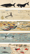 Kujirakata-Shosha-Zue-Genuine-illustrations-of-Taiji-Whaling-Techniques-1857.png