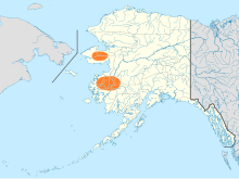 Utbreiinga av Alaskaspove