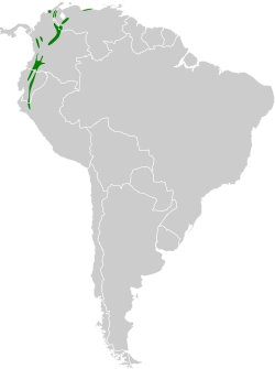 Distribución geográfica del pitajo diademado.
