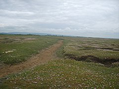 On the Foreshore - geograph.org.uk - 1902534.jpg