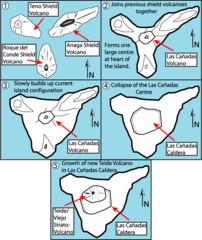 Cartoon of formation