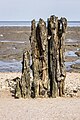 Uitzicht op de Waddenzee achter de zeedijk bij Paesens-Moddergat richting Schiermonnikoog