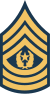 Command Sergeant Major