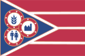 Contea di Hancock – Bandiera