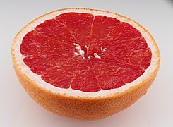 Grapefruit cut.jpg