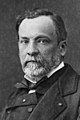 Louis Pasteur tussen 1866 en 1895 (Foto: Pierre Lamy Petit) geboren op 27 december 1822