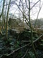 The side of the building facing Benslie Wood