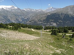 Les pistes autour du téléski du Lac, en été.