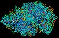 Cấu trúc protein