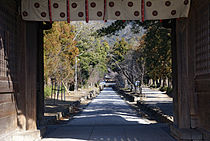 土佐神社の表参道