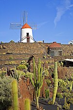 Jardín de Cactus