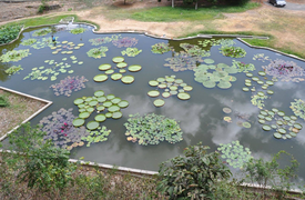 Laguna Venezuela