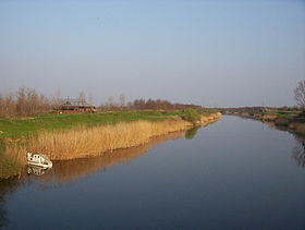 Ландшафт Среднедунайской низменности — канал Дунай-Тиса-Дунай около деревни Руменка, недалеко от Нови-Сада, Сербия