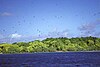 Brothers Islet, Caroline Atoll