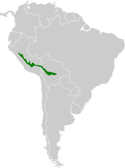 Distribución geográfica de la tangara ventricastaña.