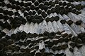 Columnar Basalt Cliffs in Garni Gorge