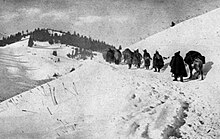 Kolona srbských vojáků vedoucích koně postupující po úbočí zasněženého kopce.