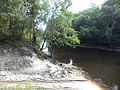 Alapaha River looking NB from boat ramp