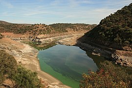 Desembocadura del Tietar en el Tajo (25 de octubre de 2009, Parque Nacional de Monfragüe) 12.JPG