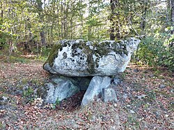 Image illustrative de l’article Dolmen du Bois Grand