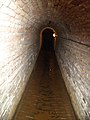 Tunnel below Hampoort Grave