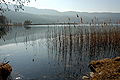 English: Lake Keutschach at Schelesnitz Deutsch: Keutschacher See in Schelesnitz