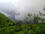 कुटजाद्रिः-दृश्यम् १