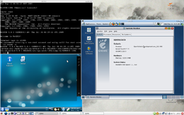Screenshot di qemu/kvm che emula NetBSD, OpenSolaris e Kubuntu su un host Arch linux.