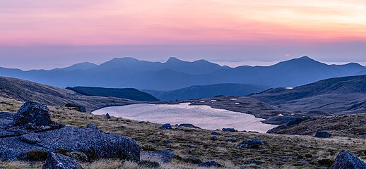 Kahurangi